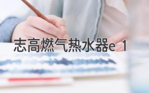 志高燃?xì)鉄崴鞴收洗aE1：原因分析與解決方法