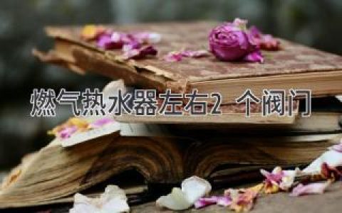 燃?xì)鉄崴髯笥?個(gè)閥門(mén)的用途及操作指南