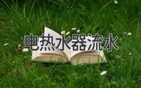 電熱水器為何頻頻流水？維修指南助您快速排查問題