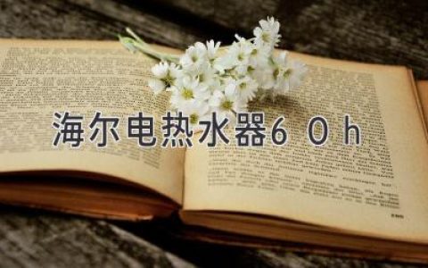 海爾電熱水器 60H：高能效、耐用、智能的家庭熱水解決方案