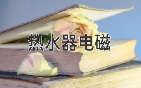 告別忽冷忽熱！揭秘電磁熱水器的工作原理及選購指南