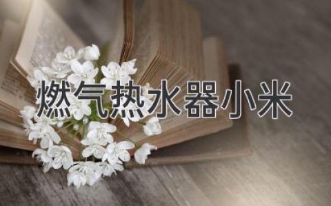 小米燃?xì)鉄崴鳎褐悄芸萍寂c舒適體驗(yàn)的完美結(jié)合