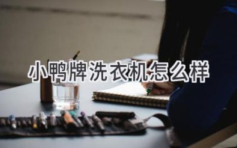 小鴨洗衣機：品質(zhì)與性能的完美融合，值得信賴(lài)的選擇