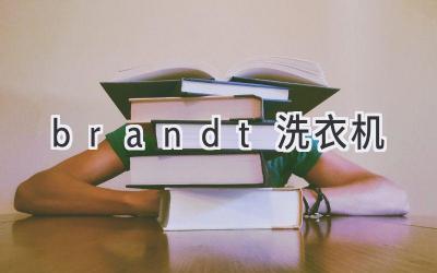 brandt洗衣機