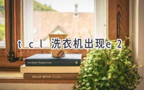 TCL洗衣機故障代碼E2：解析及解決方案