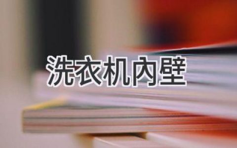 洗衣機內壁的秘密：清潔保養全攻略