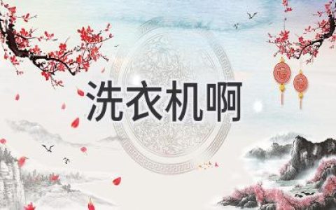 洗衣機(jī)清洗大揭秘：告別污垢，讓你的衣物更潔凈