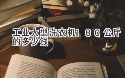 工業(yè)大型洗衣機100公斤的多少錢