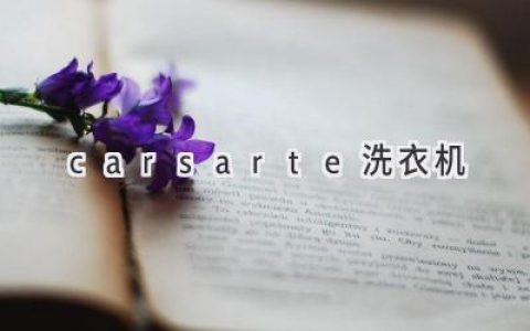 Carsarte洗衣機：智能科技與便捷洗滌的完美結合