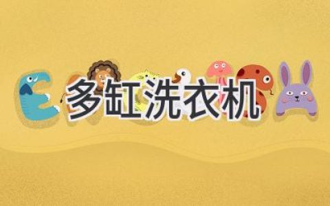 多缸洗衣機(jī)：過(guò)去與現(xiàn)在的交匯，功能與體驗(yàn)的平衡