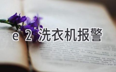 洗衣機(jī)顯示E2故障代碼，別慌！快速解決方法都在這里！