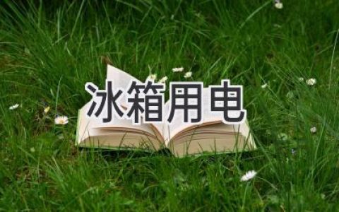 冰箱耗電大揭秘：如何省電又省錢？