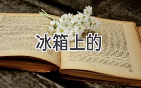 冰箱上的秘密：揭秘那些你可能從未注意到的細(xì)節(jié)