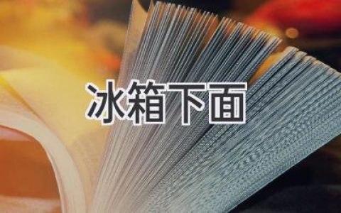 冰箱下方空間利用指南：讓你的廚房更整潔高效