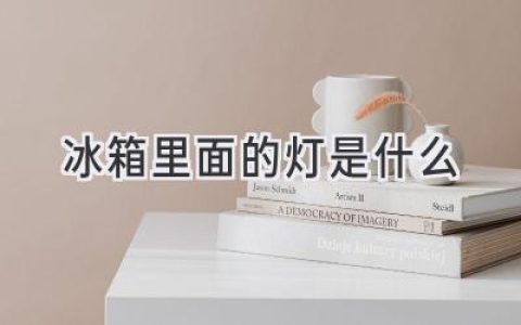 冰箱里的秘密：揭秘那盞永遠(yuǎn)亮著的燈