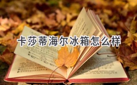 卡莎蒂海爾冰箱：優(yōu)雅與科技的完美融合