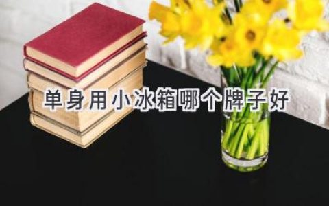 單身公寓的制冷神器：小冰箱選購指南，幫你找到完美伴侶！