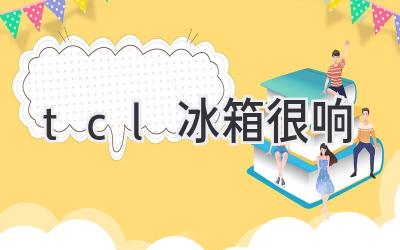 tcl冰箱很響