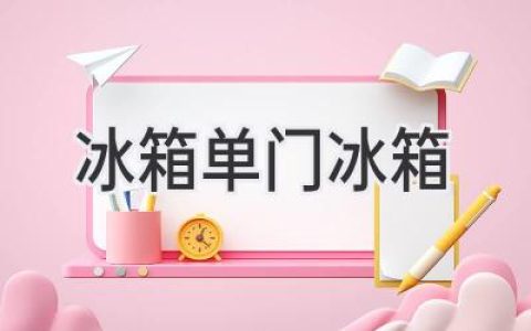 選擇你的完美伴侶：探索單門冰箱的獨特魅力