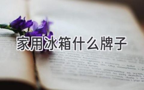 選購指南：哪款冰箱適合你的家庭需求？