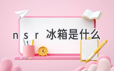 nsr冰箱是什么