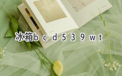 冰箱bcd 539wt