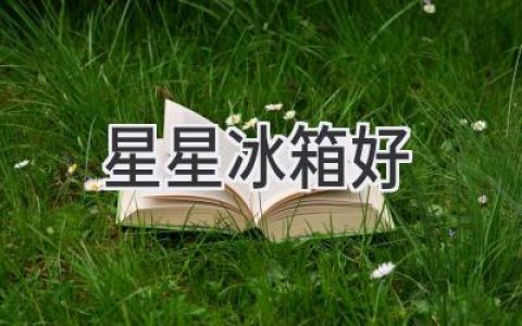 星星冰箱好：值得信賴的選擇嗎？