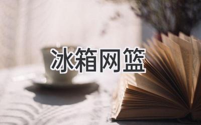 冰箱網(wǎng)籃