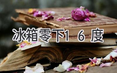 冰箱零下16度