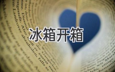 探索冷藏新世界：揭秘你的全新冰箱