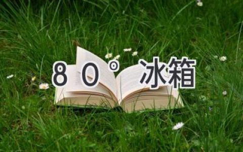 超低溫守護(hù)者：-80°冰箱的奧秘與應(yīng)用