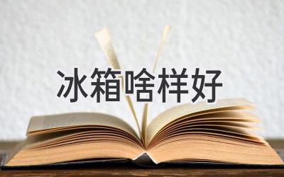 冰箱啥樣好