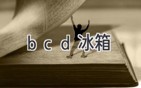 冰箱界的口碑之選：BCD 冰箱值得入手嗎？