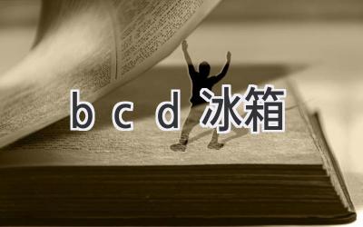 bcd 冰箱