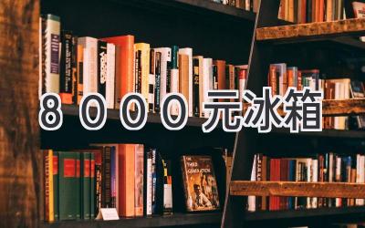 8000元冰箱