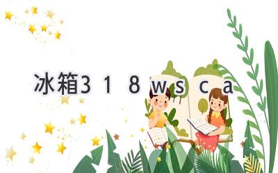 冰箱318wsca