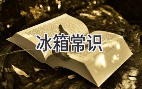 冰箱使用技巧大揭秘：從冷藏到冷凍，全方位提升你的廚房效率