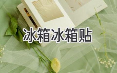 讓你的冰箱煥然一新：創(chuàng)意冰箱貼，點(diǎn)亮你的生活