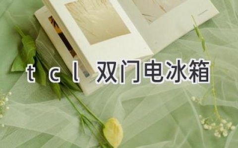 TCL雙門冰箱：冷藏保鮮，輕松生活