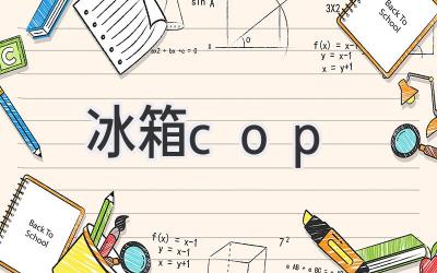 冰箱cop