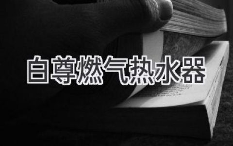 舒適沐浴，溫暖相伴：揭秘白尊燃氣熱水器的高效與節(jié)能