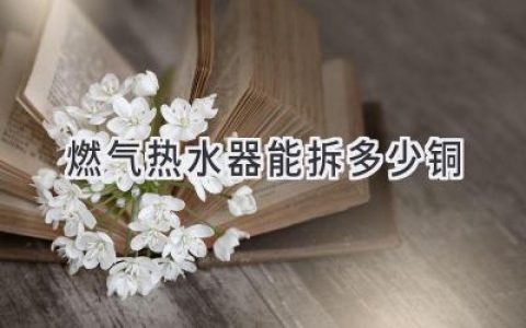 揭秘燃?xì)鉄崴鲀?nèi)部：隱藏的“寶藏”值多少錢？