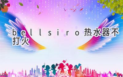 bellsiro熱水器不打火