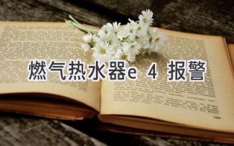 燃?xì)鉄崴鞴收洗aE4：解讀原因與解決方法